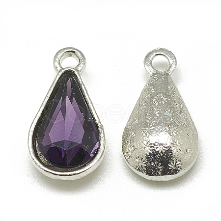 Alloy Glass Pendants PALLOY-T029-8x13mm-16-1