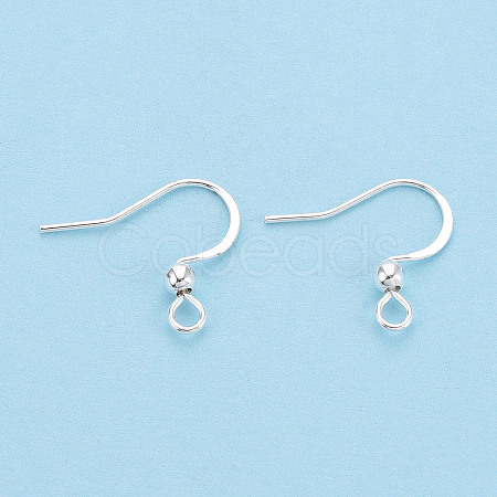 304 Stainless Steel French Earring Hooks STAS-S111-004S-1