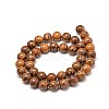 Natural Elephant Skin Jasper/Miriam Stone/Calligraphy Stone Bead Strands X-G-P075-20-8mm-2