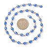 Oval Glass Beaded Link Chains AJEW-JB01471-01-2