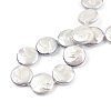 Plating Natural Freshwater Shell Beads Strands SHEL-N026-225B-4