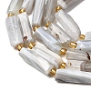 Natural Botswana Agate Beads Strands G-D353-A11-4