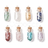 8Pcs 8 Styles Synthetic Turquoise & Natural Green Aventurine & Citrine & Rose Quartz & Lapis Lazuli & Quartz Crystal & Amethyst & Red Jasper Chip Glass Bottle Pendants PALLOY-JF04073-1