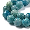 Natural Gemstone Hemimorphite Round Beads Strands G-L145-8mm-01-5