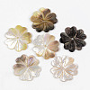 Natural Black Lip Shell Beads SHEL-R049-011-1