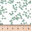 TOHO Round Seed Beads SEED-JPTR08-PF0561-4