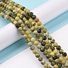 Natural Yellow Turquoise(Jasper) Beads Strands GSR6mmC007-2