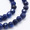 Natural Agate Beads Strands G-E469-12-4