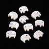 Natural Trochid Shell/Trochus Shell Beads SSHEL-T014-31-1