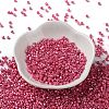 Baking Paint Glass Seed Beads X-SEED-S042-15A-05-2