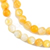 Natural Golden Yellow Shell Beads Strands SSHEL-G024-01D-3