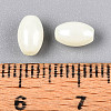 Opaque Colours Luster Glass Seed Beads SEED-N008-02A-02-4