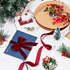 Single Face Velvet Ribbons OCOR-WH0080-14B-01-5