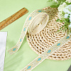 10Yards Embroidery Polyester Ribbons OCOR-GF0004-85C-3