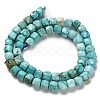 Dyed Natural Howlite Beads Strands G-H078-C28-01-3