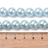 Electroplated Shell Pearl Beads Strands BSHE-G041-10mm-03-4