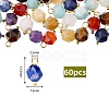 60Pcs Chakra Theme Natural Mixed Stone Charms FIND-HY0001-26-2