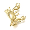 Brass Charms KK-K427-49G-2