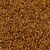 MIYUKI Round Rocailles Beads X-SEED-G009-RR0377-3