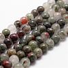 Natural African Bloodstone Beads Strands G-D840-66-8mm-1