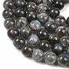 Natural Labradorite Beads Strands G-Z133-A01-13mm-02-4