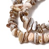 Natural Freshwater Shell Beads Strands X-SHEL-A006-05-3