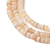 Natural Freshwater Shell Beads Strands SHEL-P017-01B-10-3