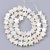Freshwater Shell Beads Strands SHEL-N026-08A-2