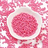 Baking Paint Glass Seed Beads SEED-A033-05L-2