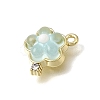 Brass & Resin & Rhinestone Pendants RE-CBAE379-18LG-2