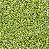MIYUKI Round Rocailles Beads X-SEED-G009-RR0439-3