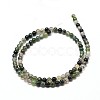 Natural Moss Agate Round Bead Strands G-P072-01-10mm-2