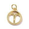 Brass Charms LS-KK-A160-20G-01-3