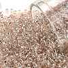 TOHO 11/0 Round Beads X-SEED-TR11-0031-1