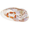 Natural Shell Ring Holder DJEW-WH0001-36-1