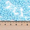 Baking Paint Glass Seed Beads X1-SEED-K010-A20-4