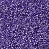 MIYUKI Delica Beads SEED-X0054-DB1347-4