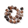 Natural Black Sunstone Beads Strands G-N327-08P-2