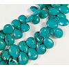 Natural Magnesite Beads Strands TURQ-K003-28B-2