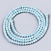 Natural Freshwater Shell Beads Strands BSHE-T009-01C-2
