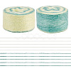 Gradient Segment Dyed Super Fine Mohair Yarn DIY-TAC0033-03D-1