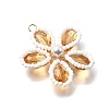 Glass Pendants PALLOY-TA00313-04-3