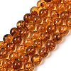 Natural Amber Beads Strands G-L095-B01-8mm-03-2