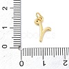 Brass Micro Pave Clear Cubic Zirconia Charms KK-D289-66G-R-3