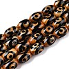 Natural Tibetan Agate 3-Eye Beads Strands G-T138-195C-4