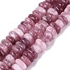 Dyed Natural Quartz Beads Strands G-N359-16A-12-2