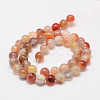 Natural Sardonyx Beads Strands X-G-K155-D-8mm-01-2