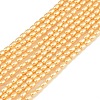 Electroplated Shell Pearl Beads Strands BSHE-H113-06A-09-1