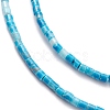 Dyed Natural Howlite Beads Strands G-H255-19-2