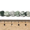 Natural Green Spot Jasper  Beads Strands G-M403-A22-03-5